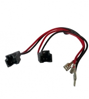 LATSSPC02 kolonėlių laido adapteris, TESLA 3; Y, S, X