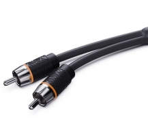 ETON, RCA2P-55 2-kanalų 5.5m ilgio linijinis laidas 