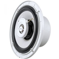 Pioneer, TS-MR1640 marine, katerio kolonėlės 16cm