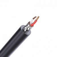 ETON, RCA2P-55 2-kanalų 5.5m ilgio linijinis laidas 