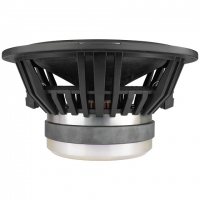 ETON, Graphit 10-2, 25cm, 2x2ohm subwoofer